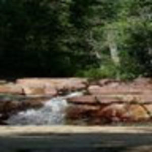 Meet your Posher, Ann marie